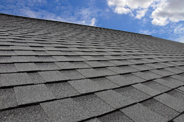 Best Chimney Flashing Repair  in Monmouth Junction, NJ